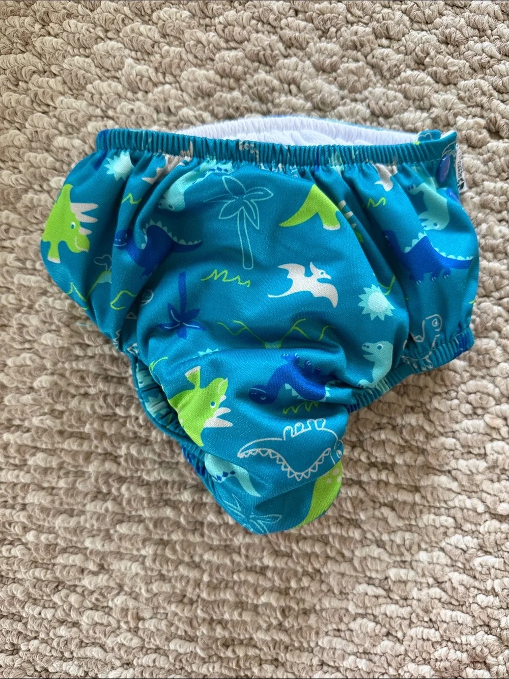Turquoise Dinosaur Print Kids Swim Diaper Cover